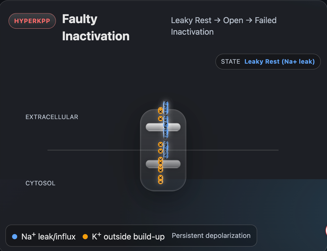 Healthy vs HyperKPP visualization preview